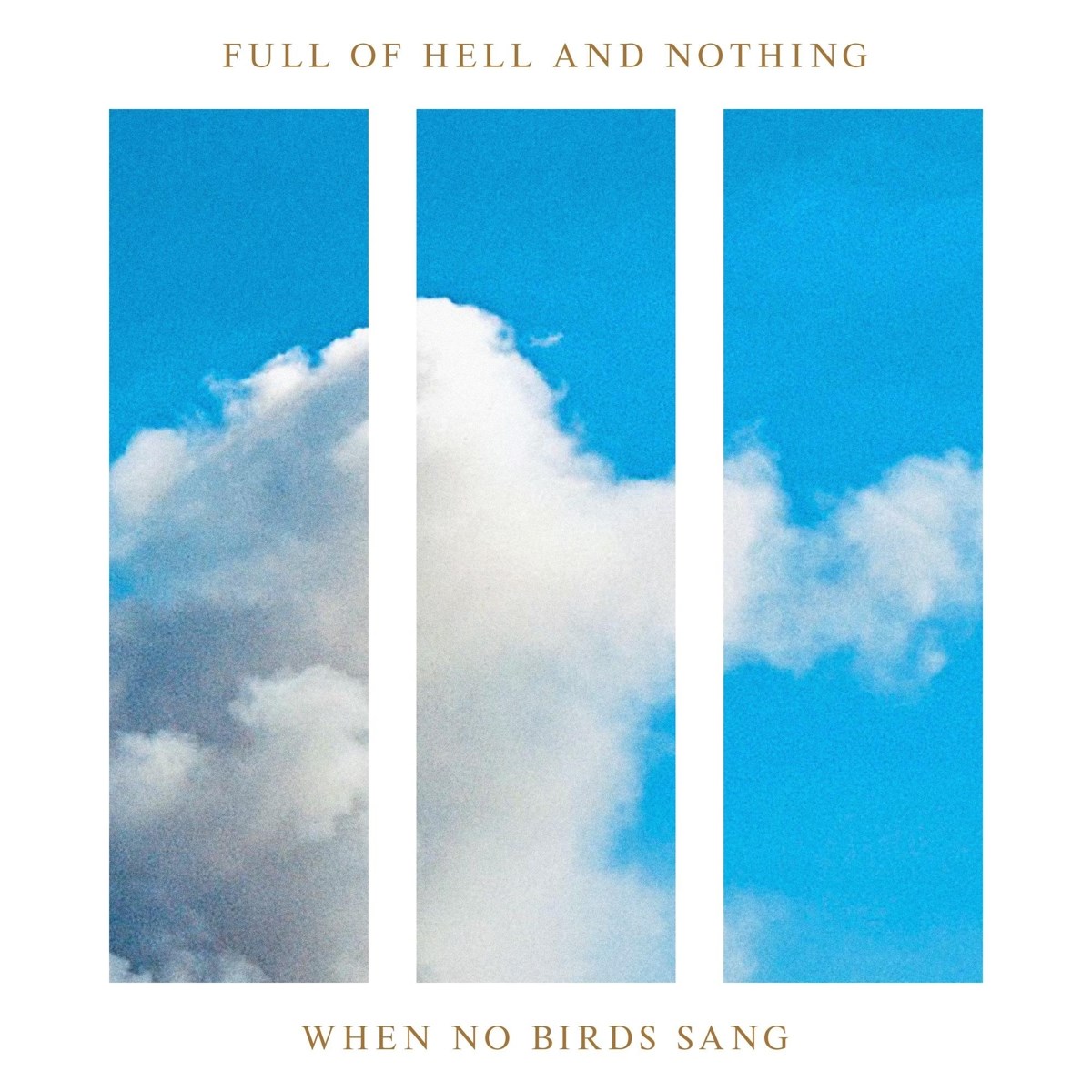 Afbeelding van Full Of Hell And Nothing - When No Birds Sang