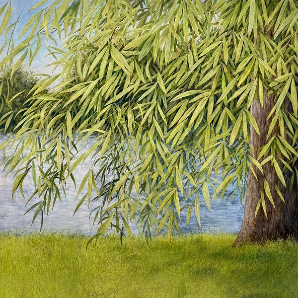 Martin Simpson & Thomm Jutt - Nothing But Green Willow (The Songs Of Mary Sands And Jane Gentry)