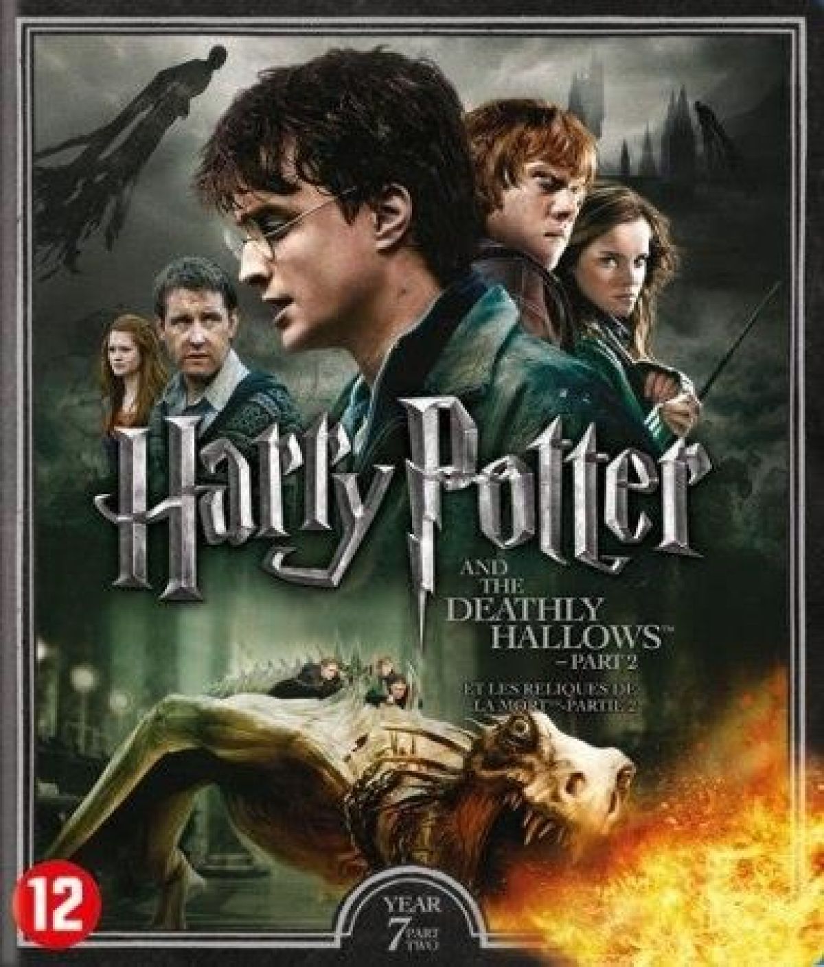 Afbeelding van Harry Potter Year 7 - The Deathly Hallows Part 2