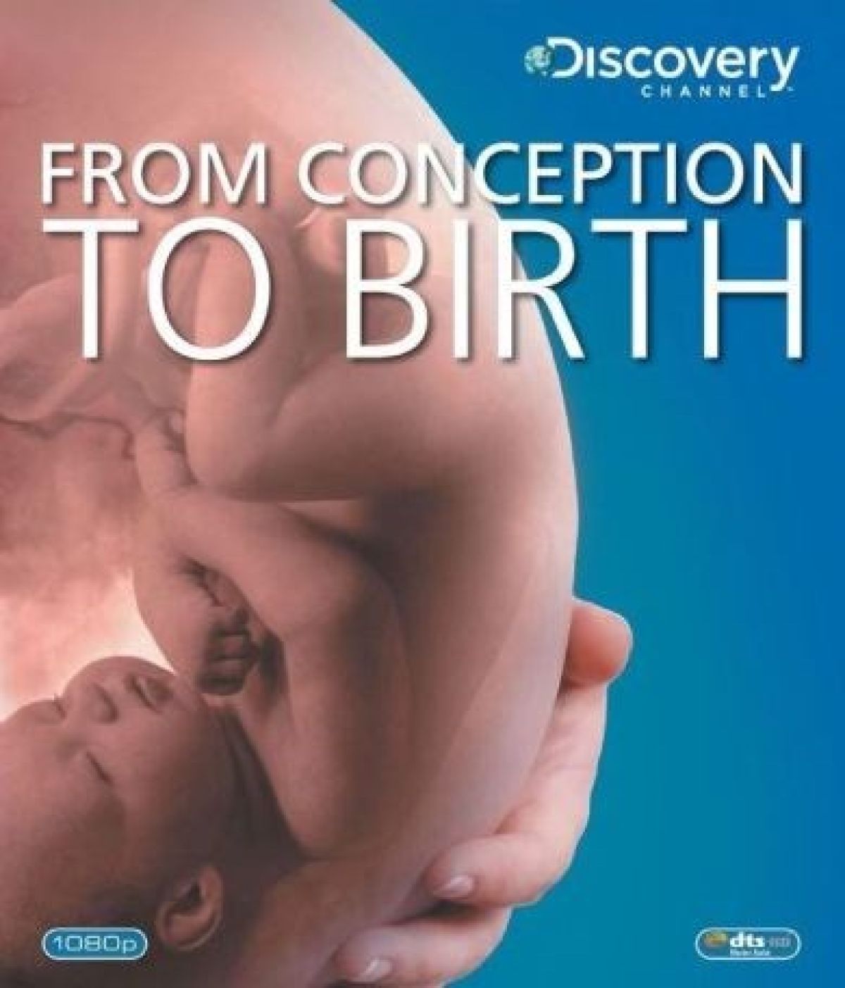 From Conception To Birth