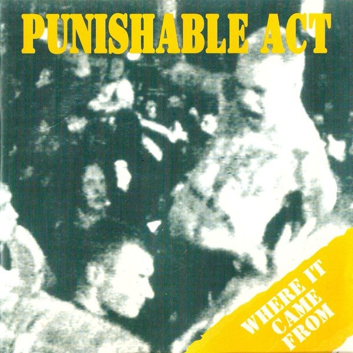 Afbeelding van Punishable Act - Where It Came From