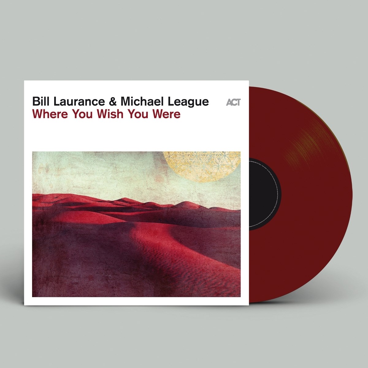 Afbeelding van Bill Laurance & Michael League - Where You Wish You Were