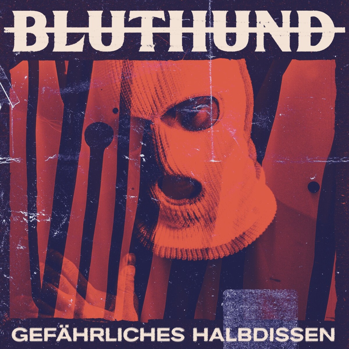 Afbeelding van Bluthund - Gefährliches Halbdissen