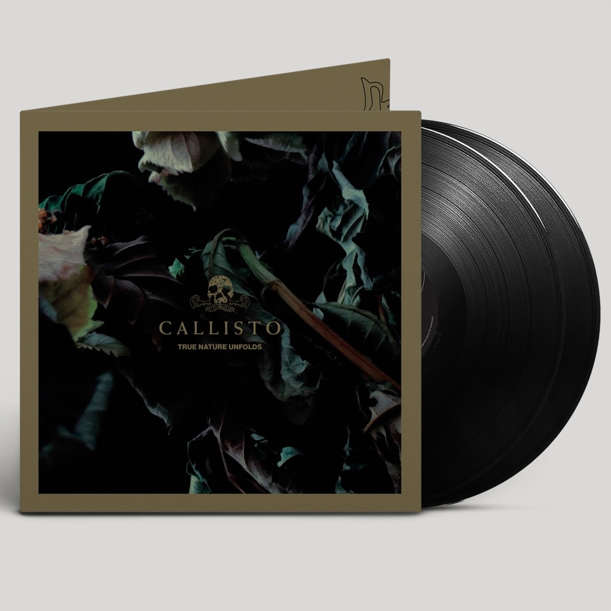 Afbeelding van Callisto - True Nature Unfolds