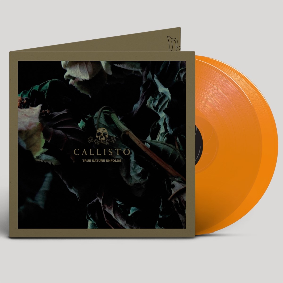 Afbeelding van Callisto - True Nature Unfolds