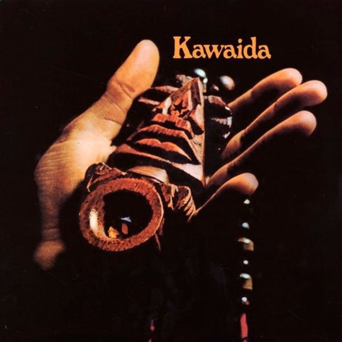 Afbeelding van Kawaida - Kuumba-Toudie Heath