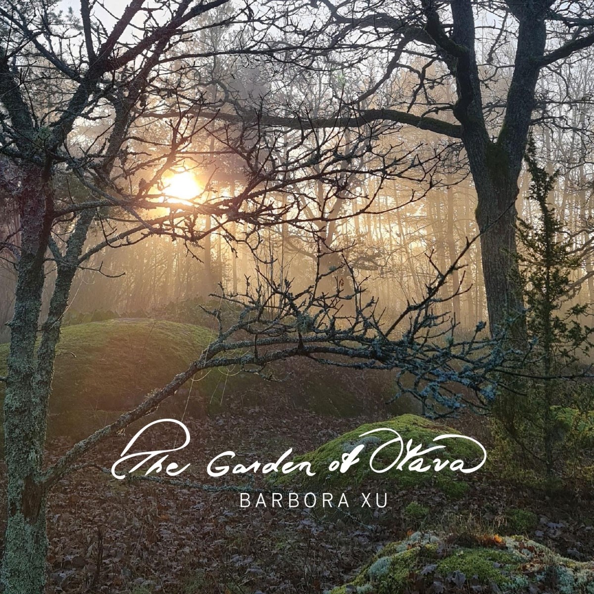 Afbeelding van Barbora Xu - The Garden Of Otava