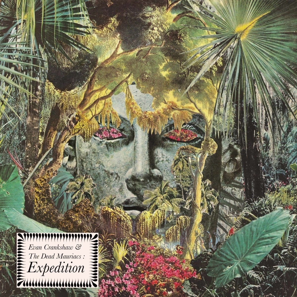 Afbeelding van Evan Crankshaw & The Dead Mauriacs - Expedition