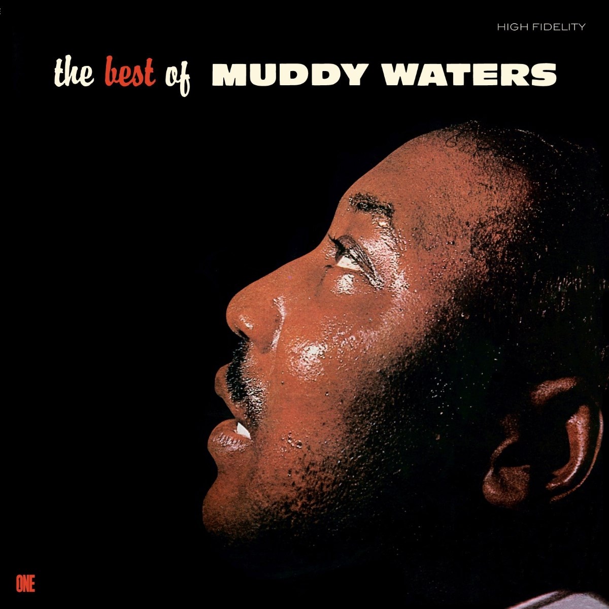 Afbeelding van The Best Of Muddy Waters