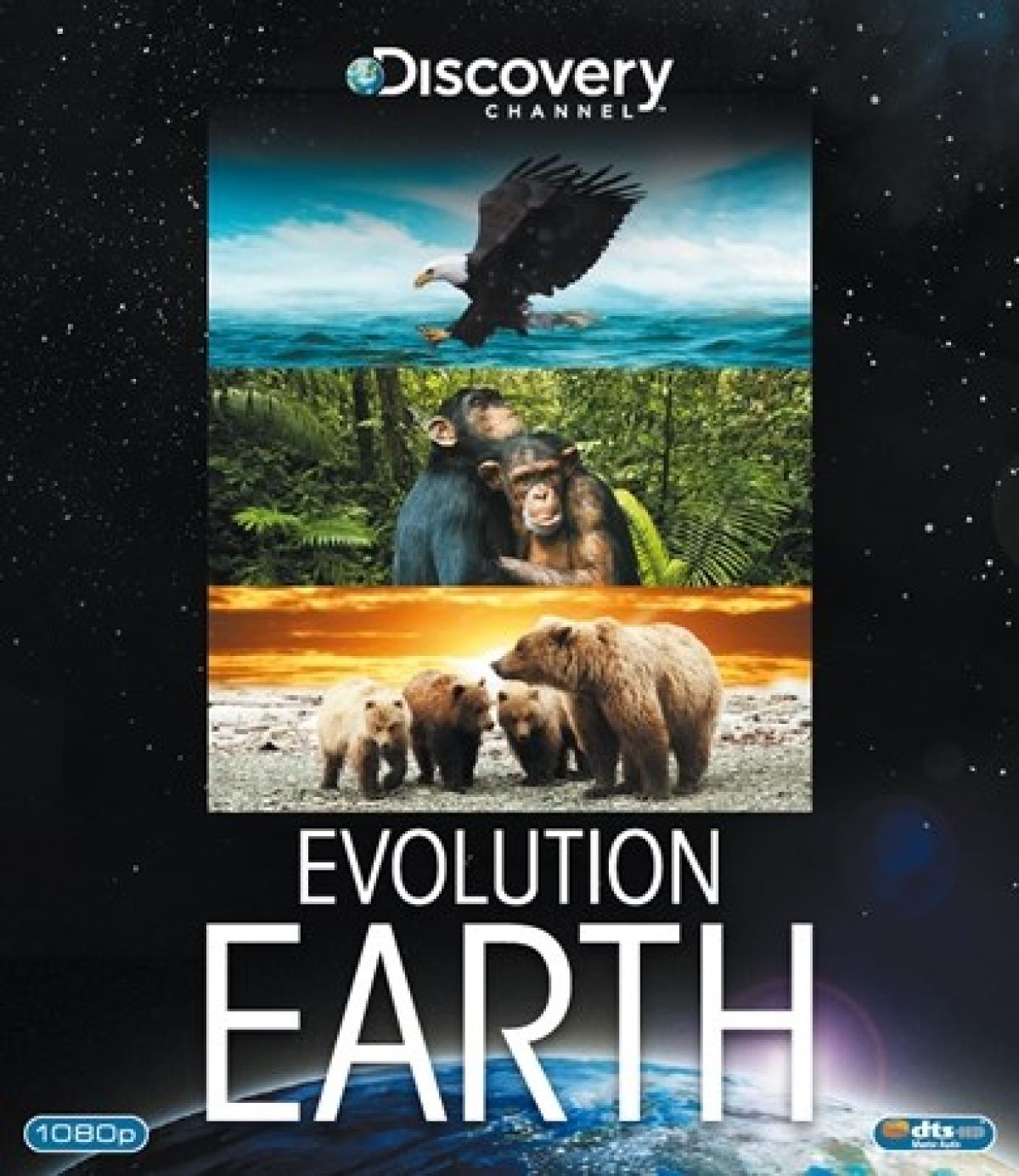 Afbeelding van Evolution Earth