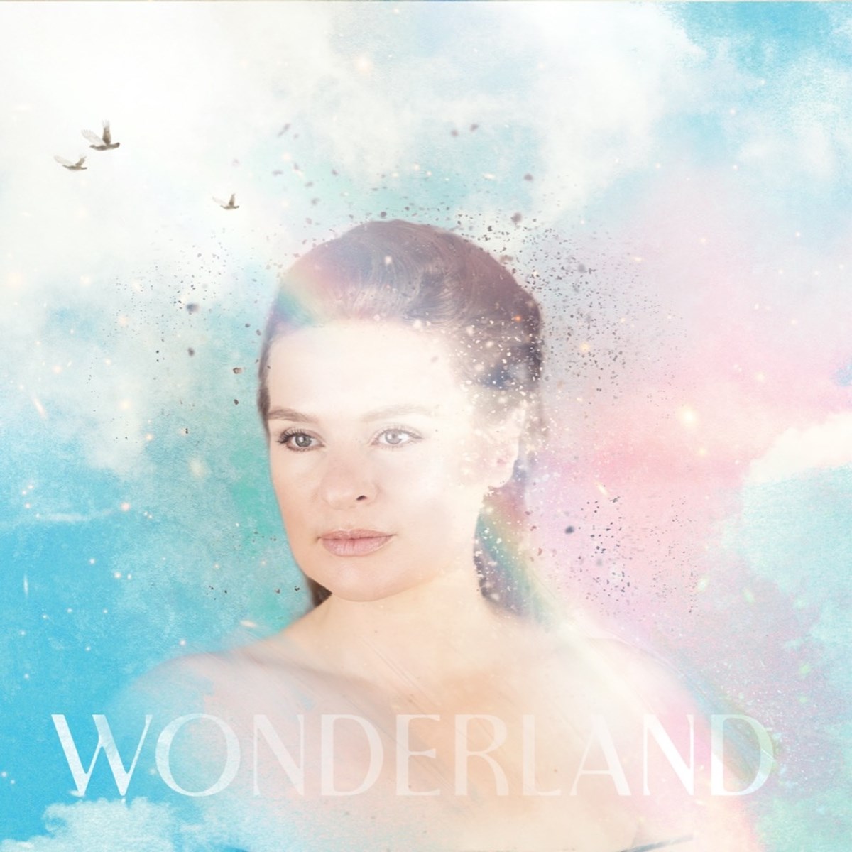 Afbeelding van Sandra Van Nieuwland - Wonderland