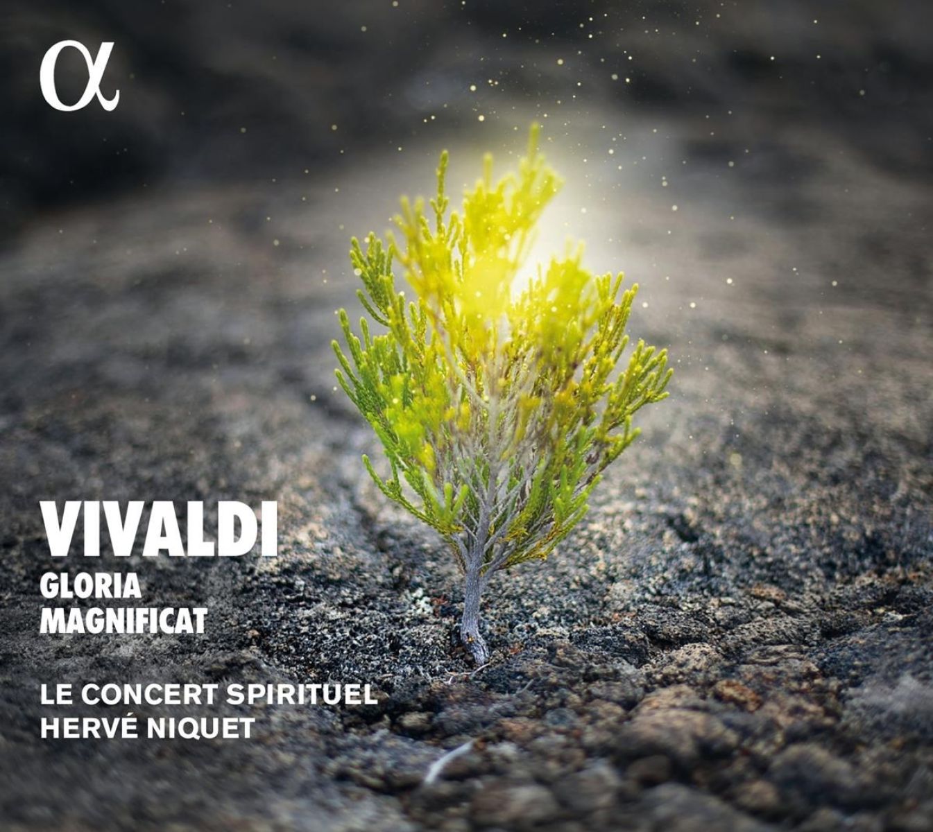 Afbeelding van Le Concert Spirituel, Hervé Niquet - Vivaldi: Gloria | Magnificat