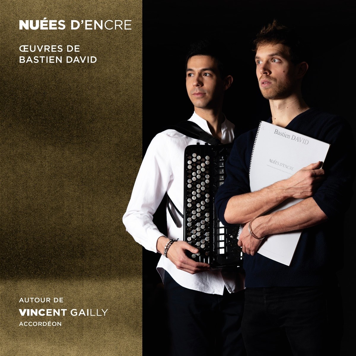 Afbeelding van Vincent Gailly - Nuees Dencre