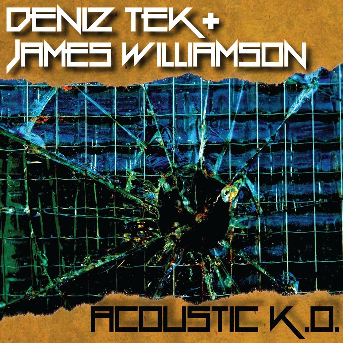 Deniz Tek & James Williamson - Acoustic K.O.