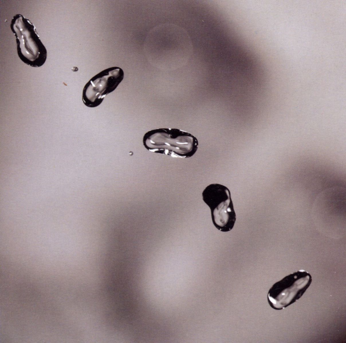 Afbeelding van Peter Gabriel - Up