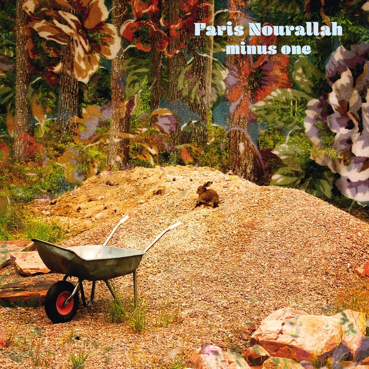 Afbeelding van Faris Nourallah - Minus One