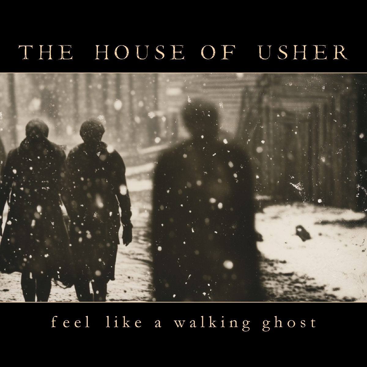 Afbeelding van House Of Usher - Fell Like A Walking Ghost