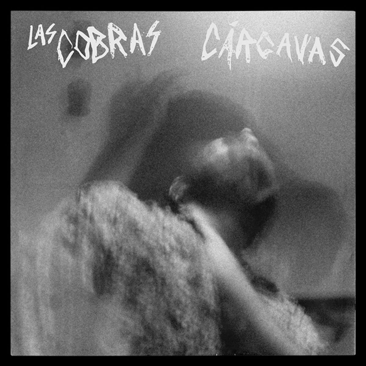 Afbeelding van Las Cobras - Cárcavas