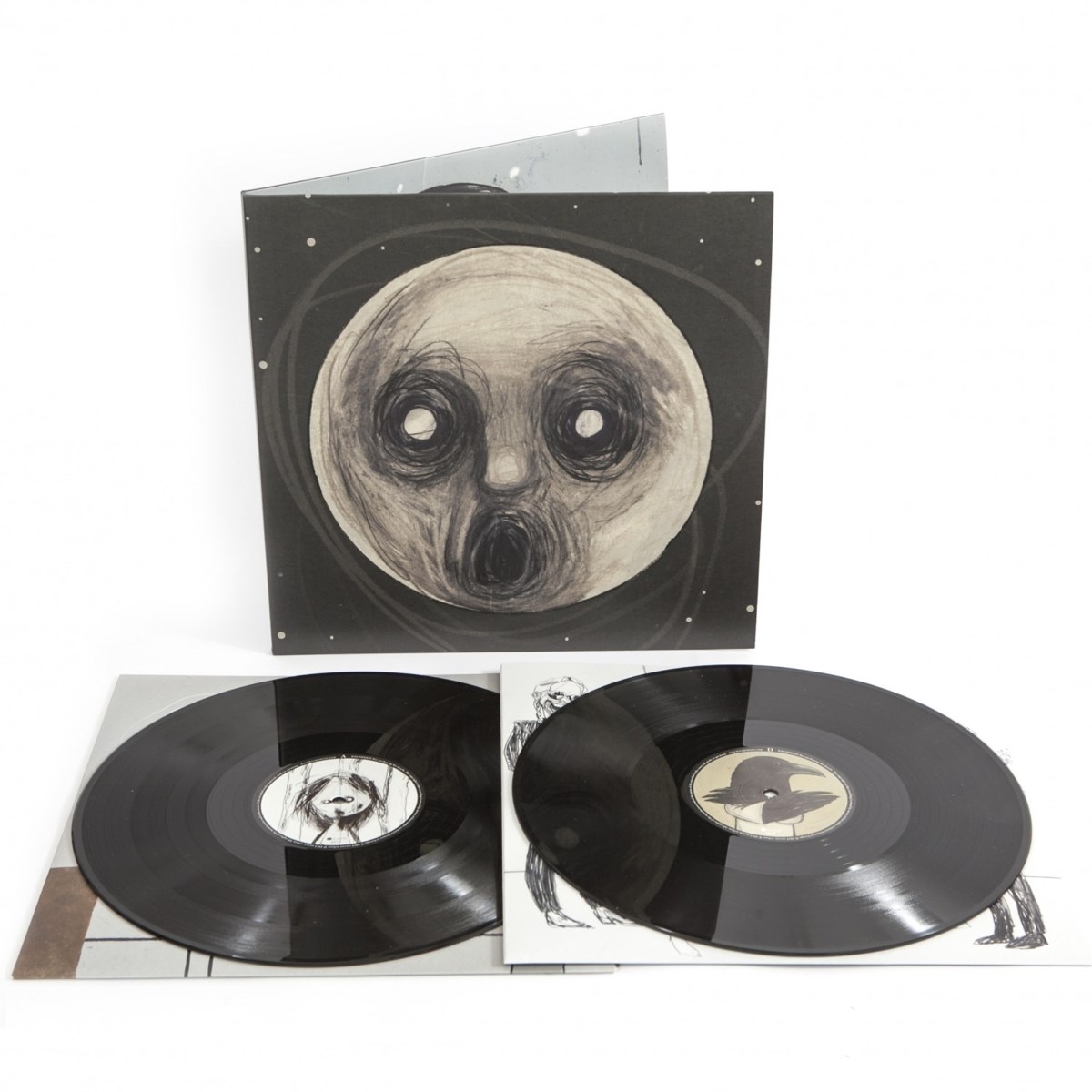 Afbeelding van Steven Wilson - The Raven That Refused To Sing (And Other Stories)