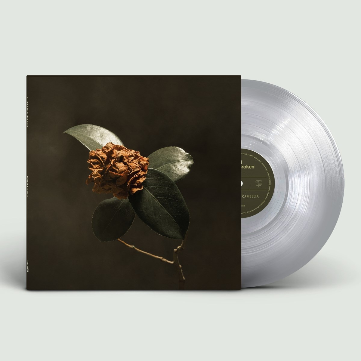 Afbeelding van St. Paul & The Broken Bones - Young Sick Camellia