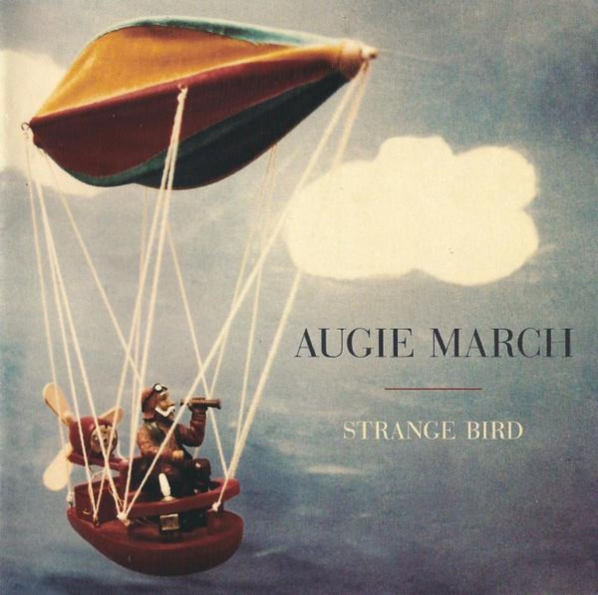 Afbeelding van Strange Bird