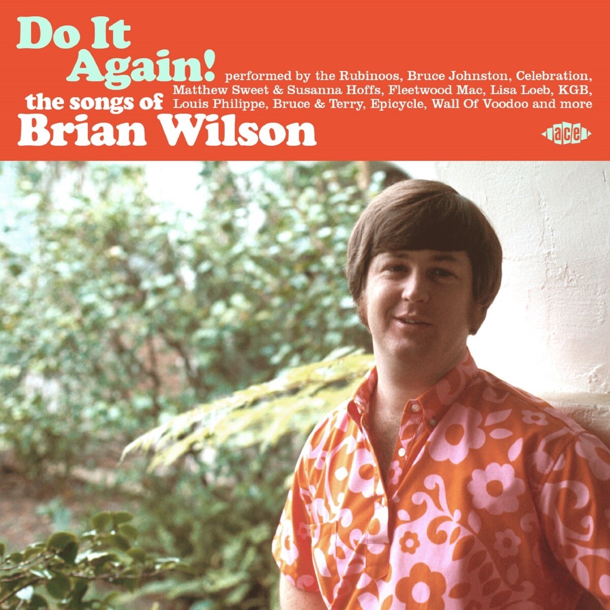 Afbeelding van Brian Wilson - Do It Again! The Songs Of Brian Wilson