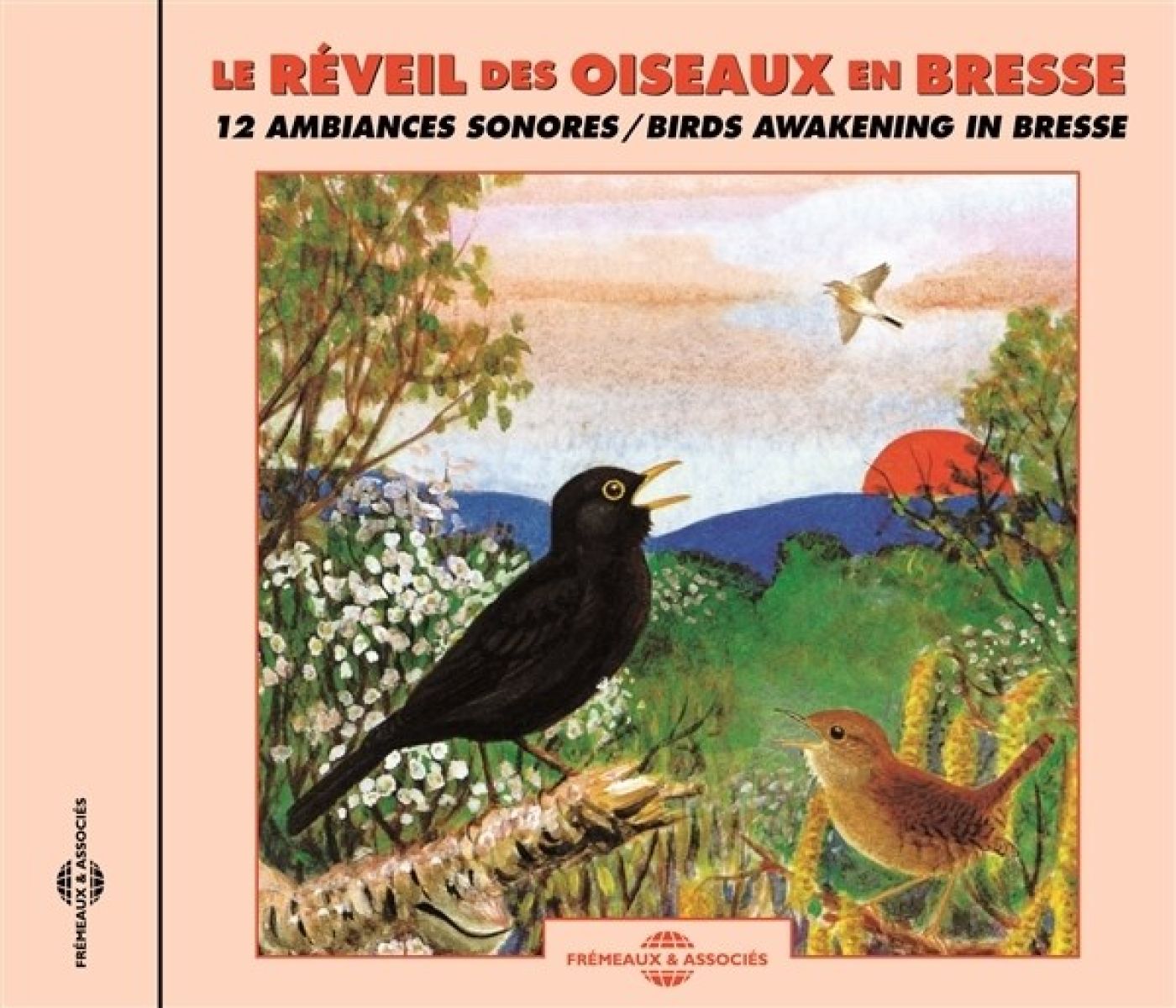 Afbeelding van Le Reveil Des Oiseaux En Bresse - Birds Awakening In Bresse
