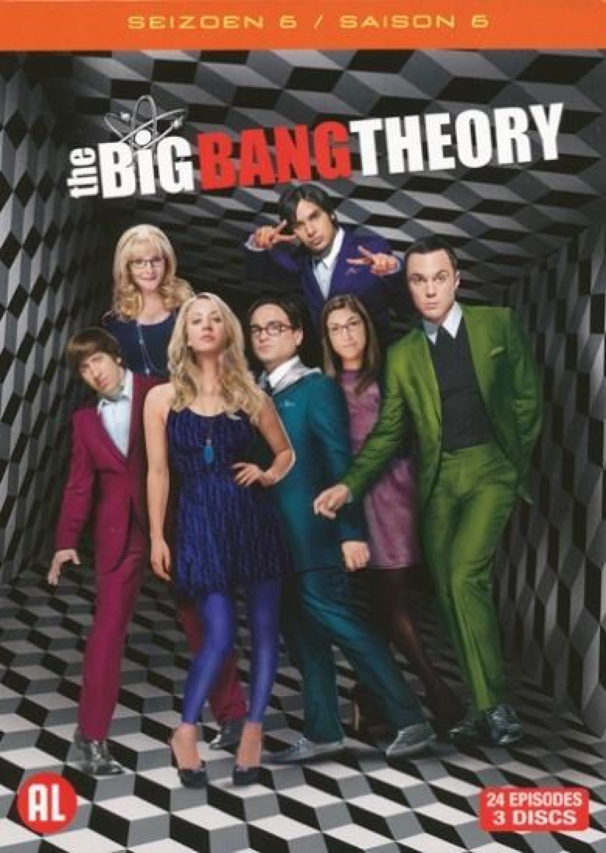 Big Bang Theory - Seizoen 6