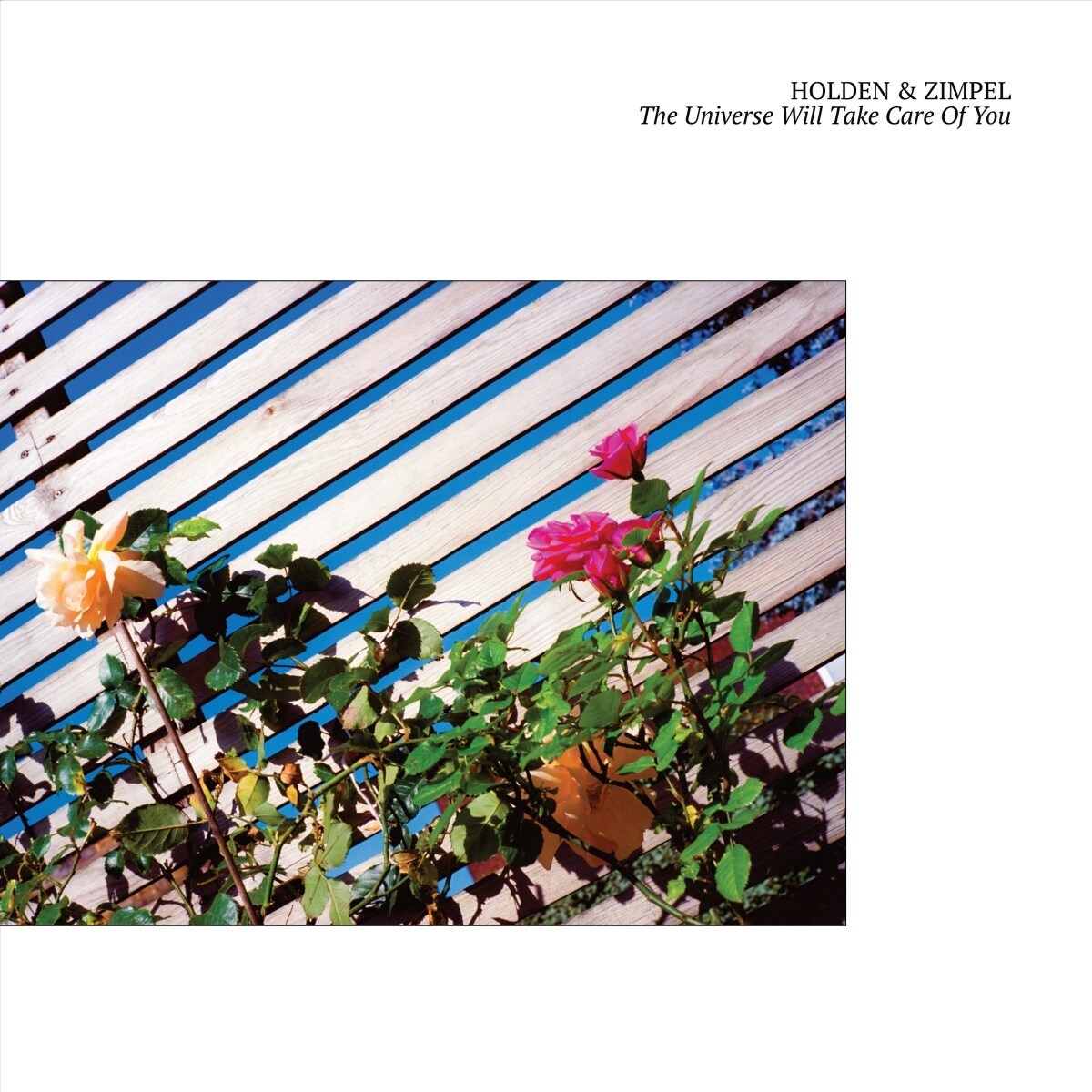 Afbeelding van Holden & Zimpel Feat. James Holden - The Universe Will Take Care Of You