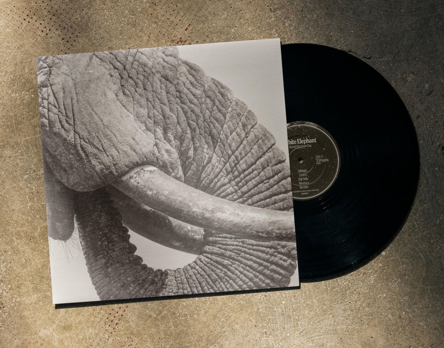 Afbeelding van White Elephant - World Elephant Day