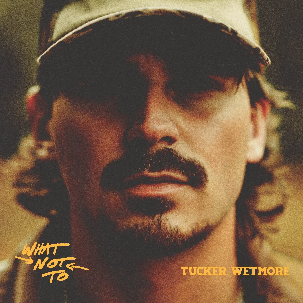 Afbeelding van Tucker Wetmore - What Not To