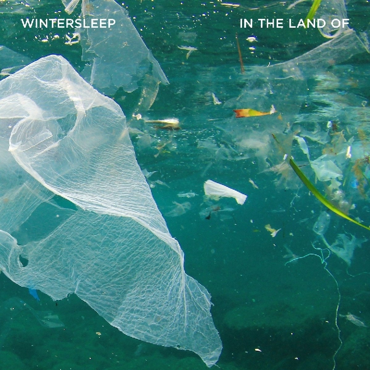 Afbeelding van Wintersleep - In The Land Of