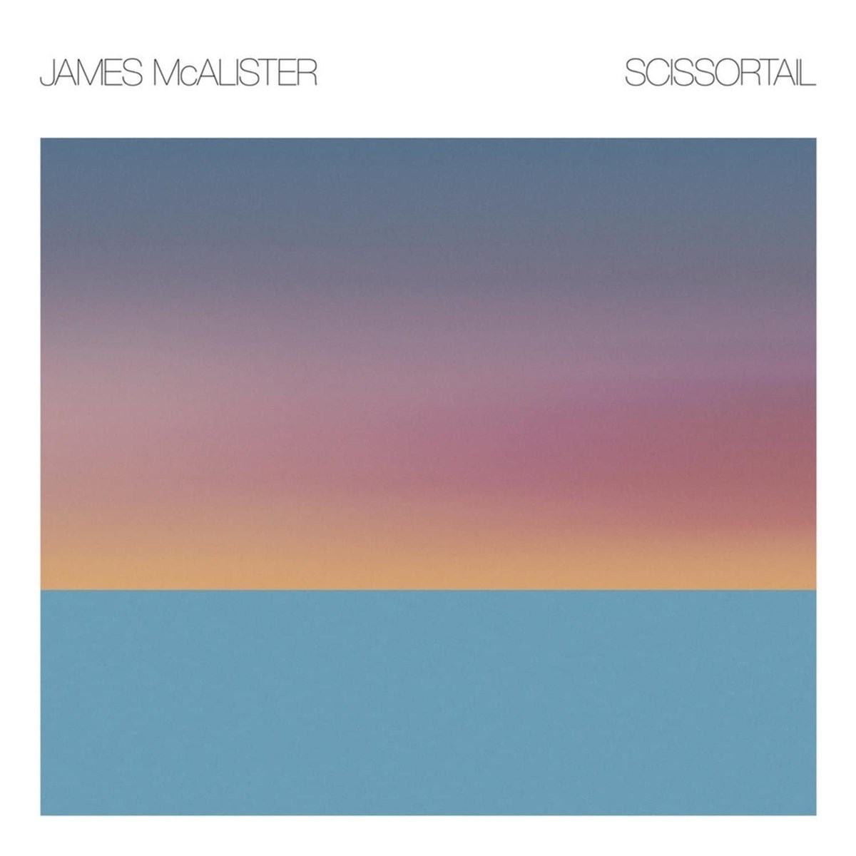 Afbeelding van James McAlister - Scissortail