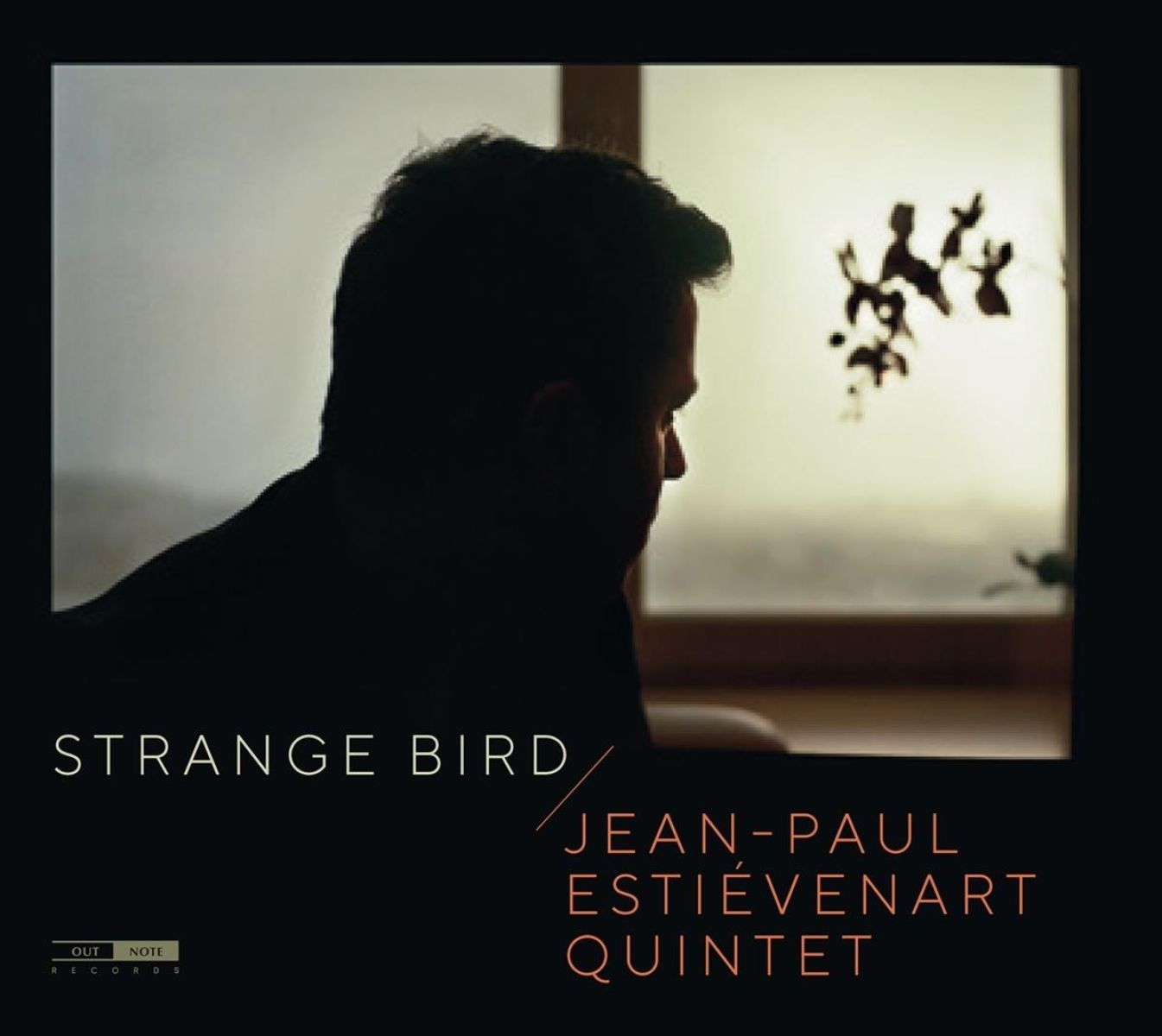 Afbeelding van Strange Bird