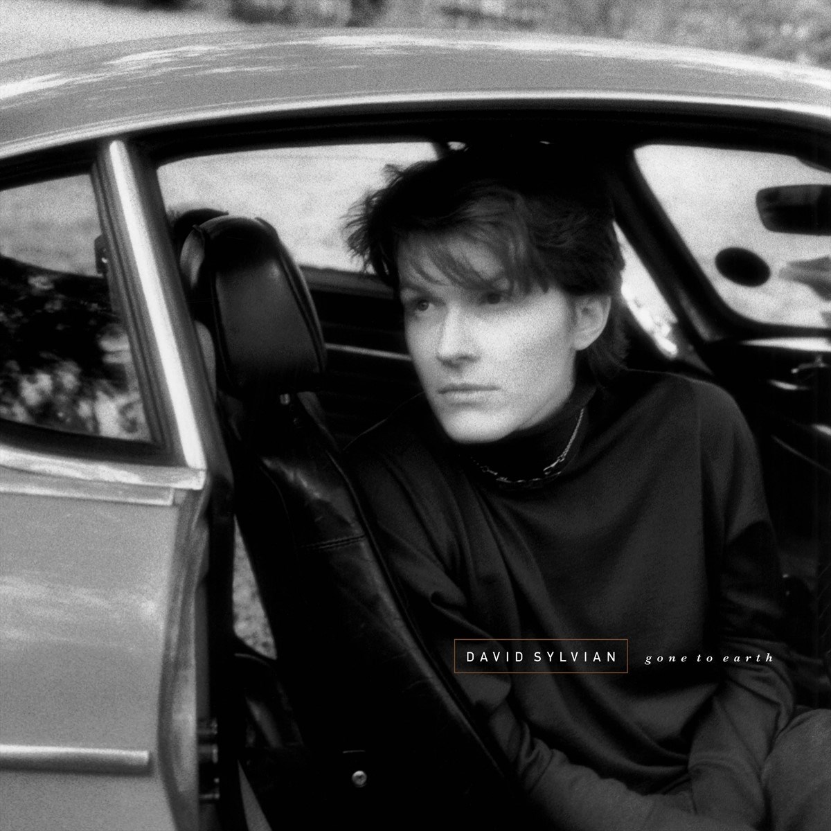 Afbeelding van David Sylvian - Gone To Earth