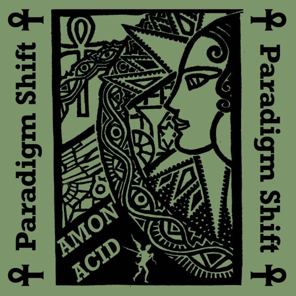 Amon Acid - Paradigm Shift
