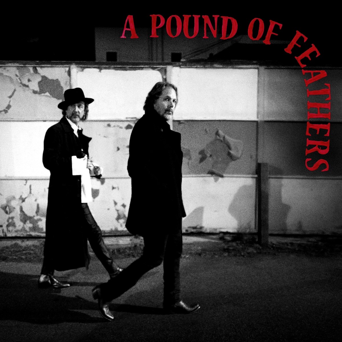 Afbeelding van The Black Crowes - A Pound Of Feathers