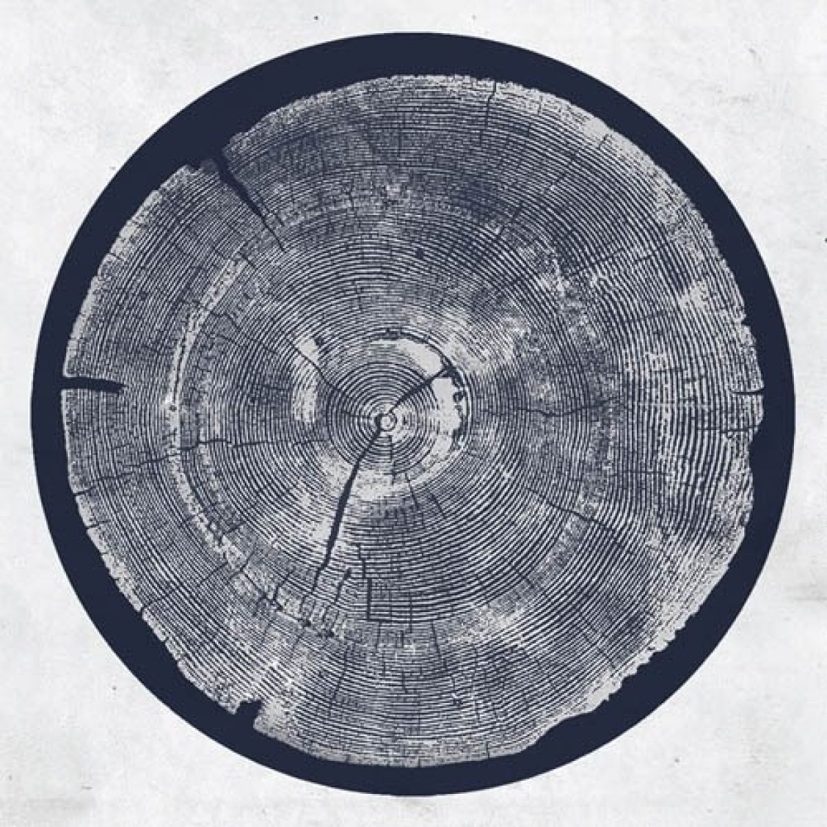 Afbeelding van Roy Montgomery - R: Tropic Of Anodyne