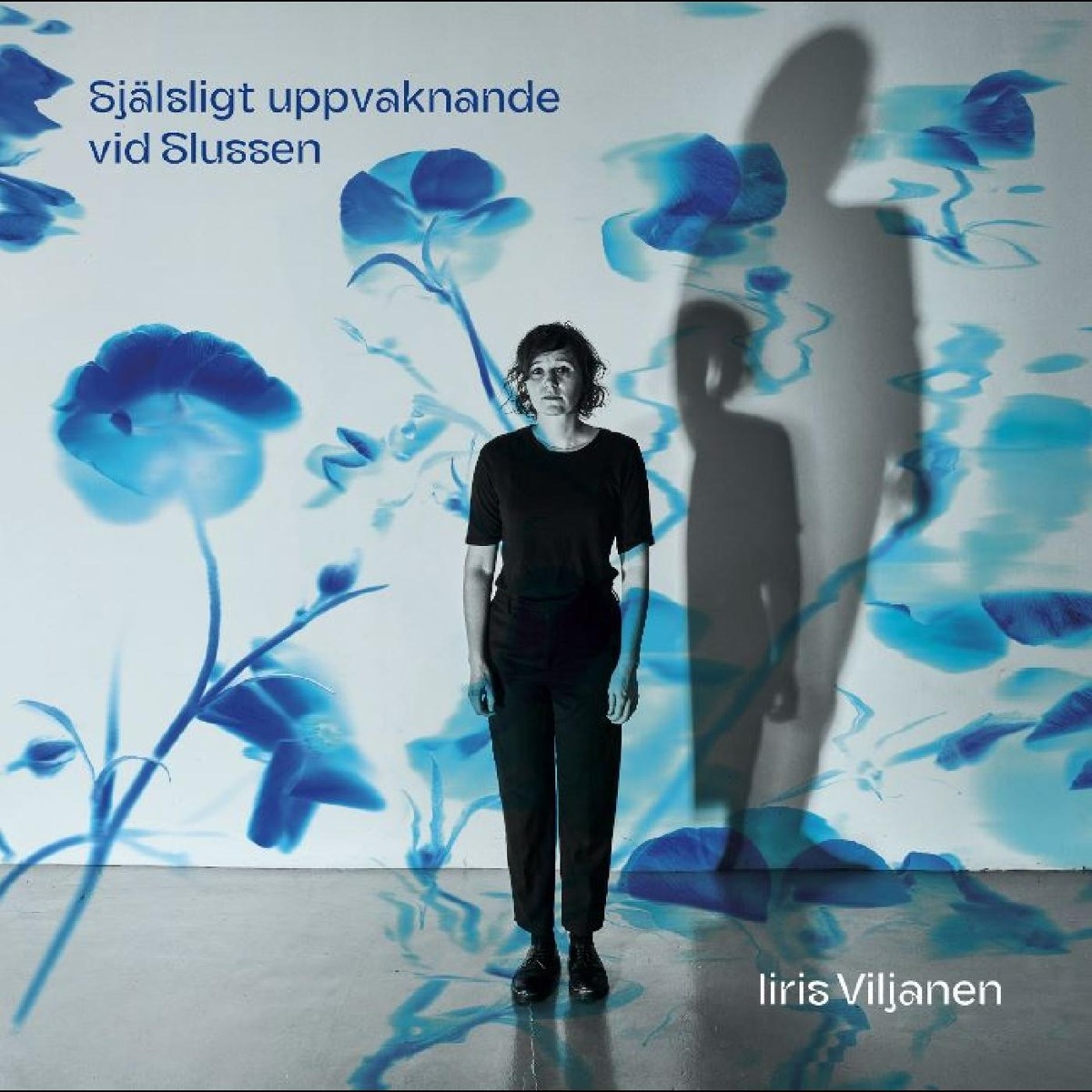 Afbeelding van Själsligt uppvaknande vid Slussen