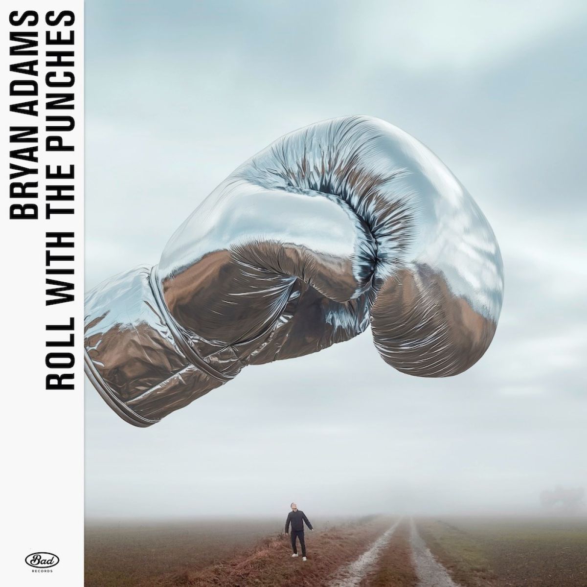 Afbeelding van Bryan Adams - Roll With The Punches