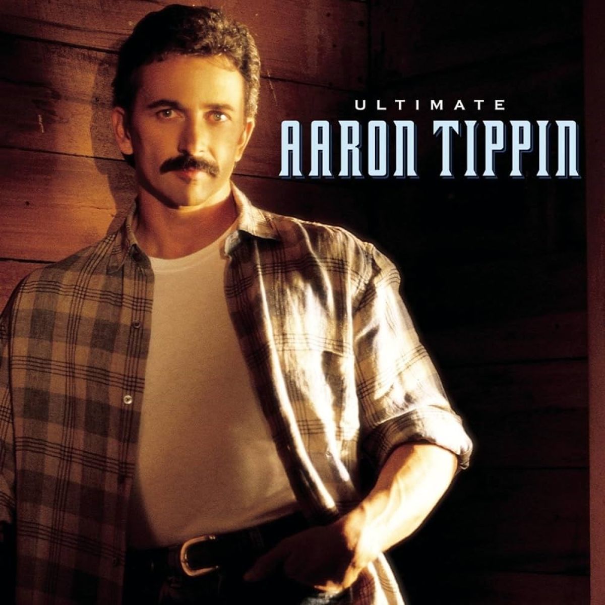 Afbeelding van Aaron Tippin - Ultimate Aaron Tippin