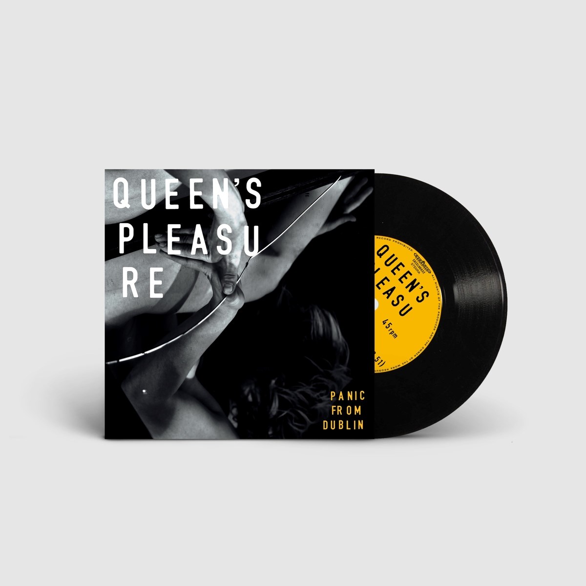 Afbeelding van Queen's Pleasure - Panic From Dublin