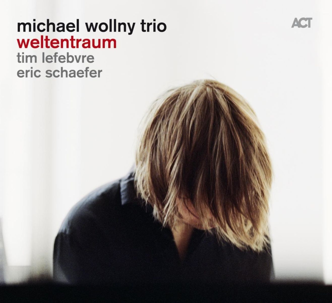 Afbeelding van Michael Wollny Trio - Weltentraum