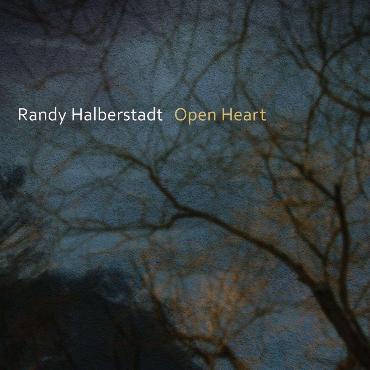 Afbeelding van Open Heart