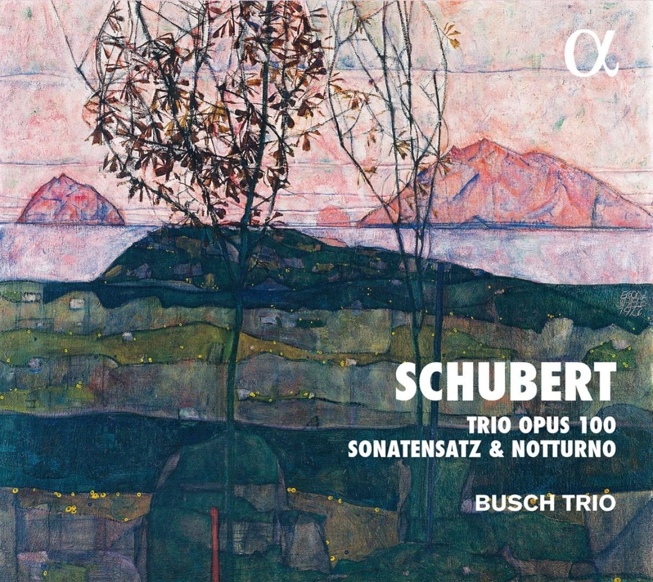 Afbeelding van Busch Trio - Schubert: Trio Opus 100, Sonatensatz & Notturno