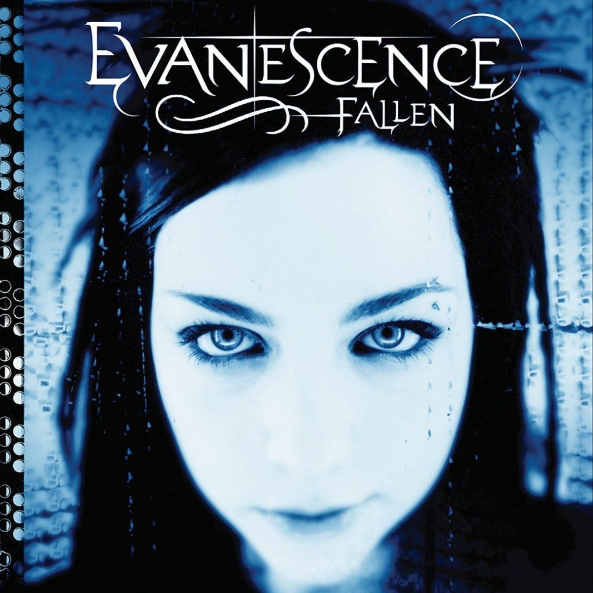 Afbeelding van Evanescence - Fallen