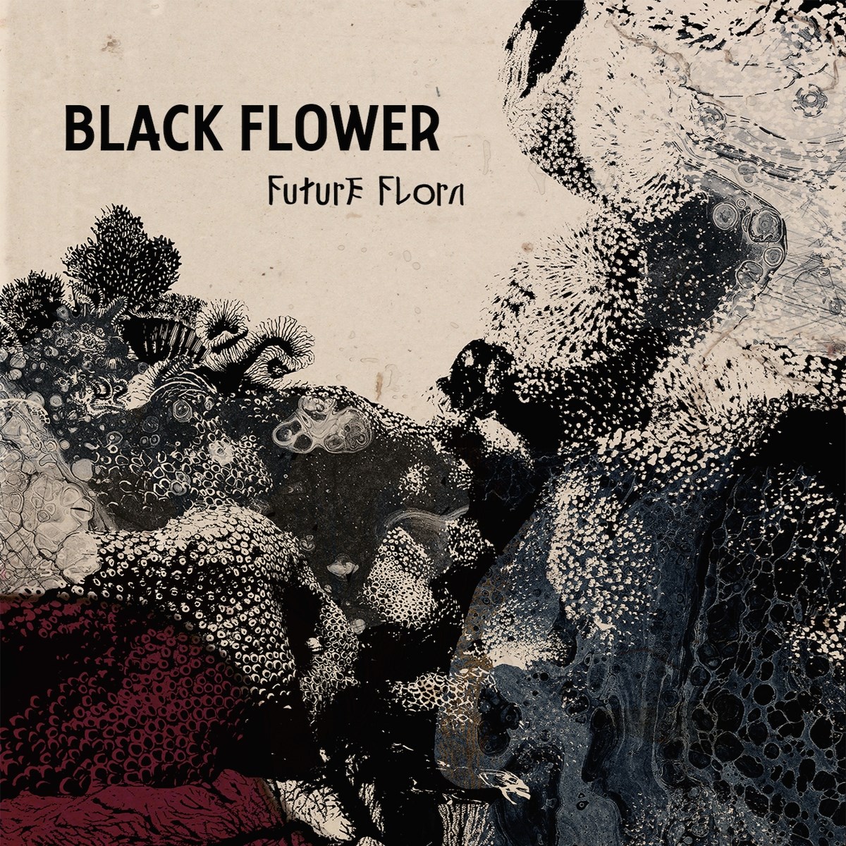 Afbeelding van Black Flower - Future Flora