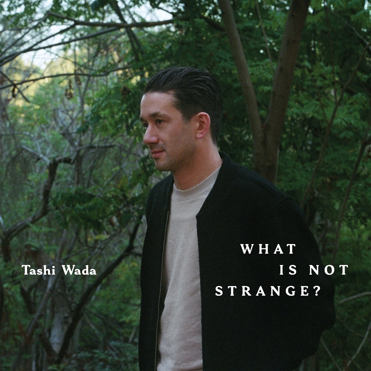 Afbeelding van Tashi Wada - What Is Not Strange?