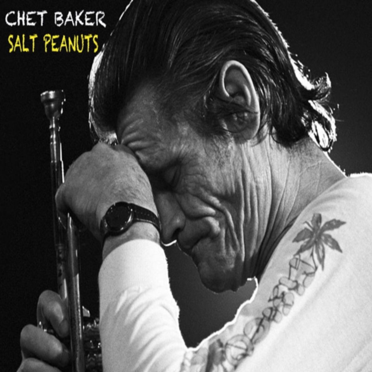 Afbeelding van Chet Baker - Salt Peanuts