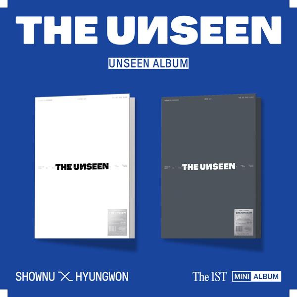 Afbeelding van Unseen